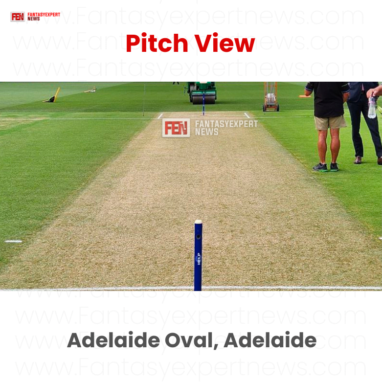 Adelaide Oval Pitch View